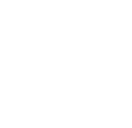 SailPoint logo
