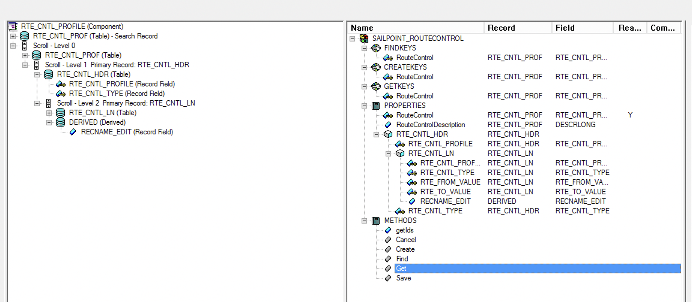 Basic Structure of Component Interface (CI) from RTE_CNTL_PROFILE
